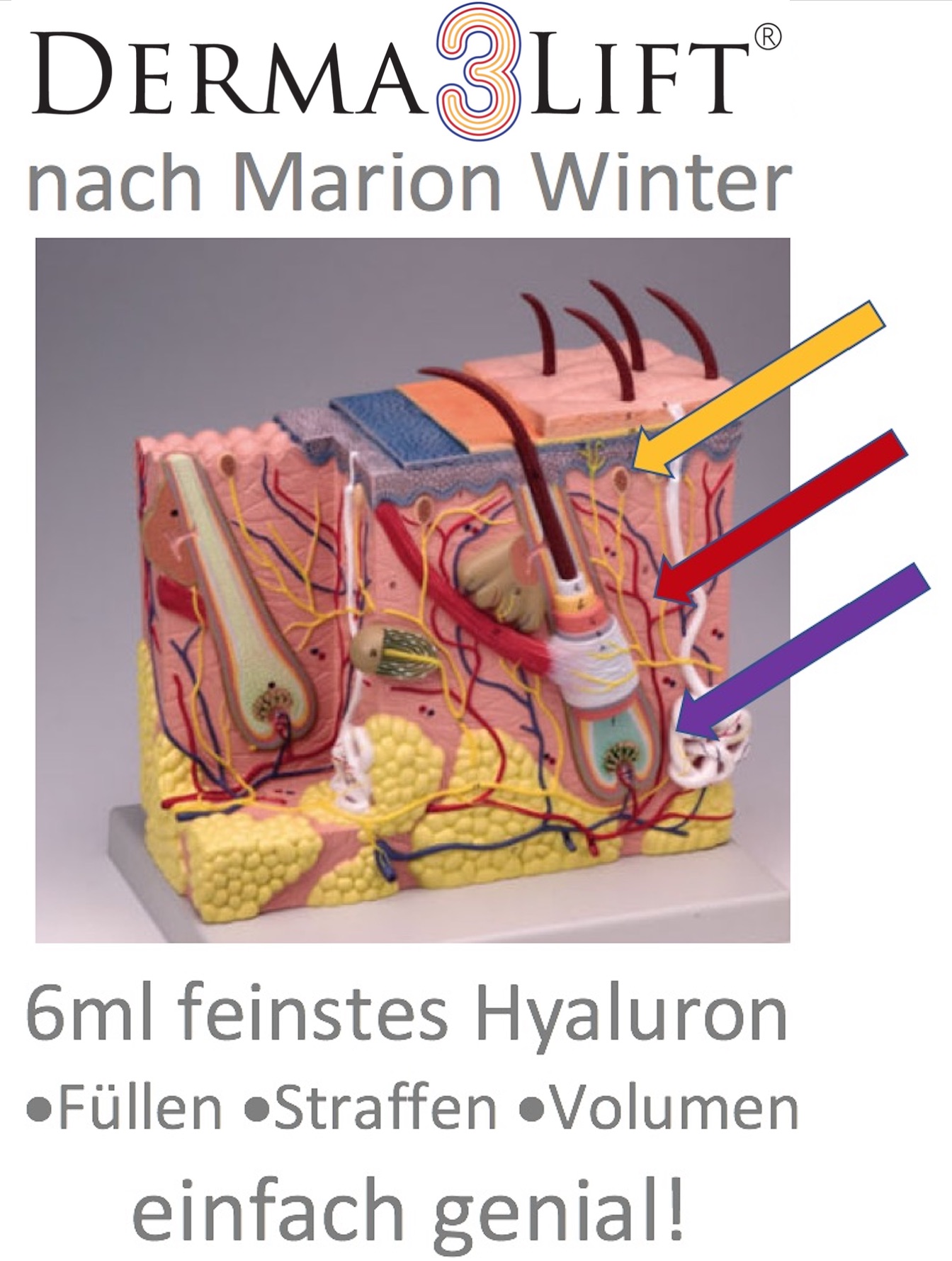 Derma3Lift nach Marion Winter, Ästhetik-Konzepte