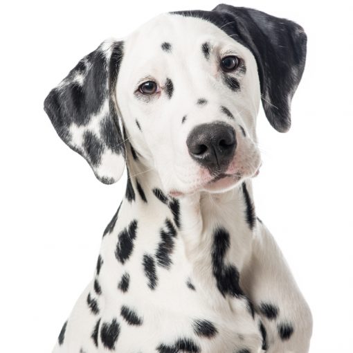 Pigmentflecken - Kosten und Infos zu Peelings